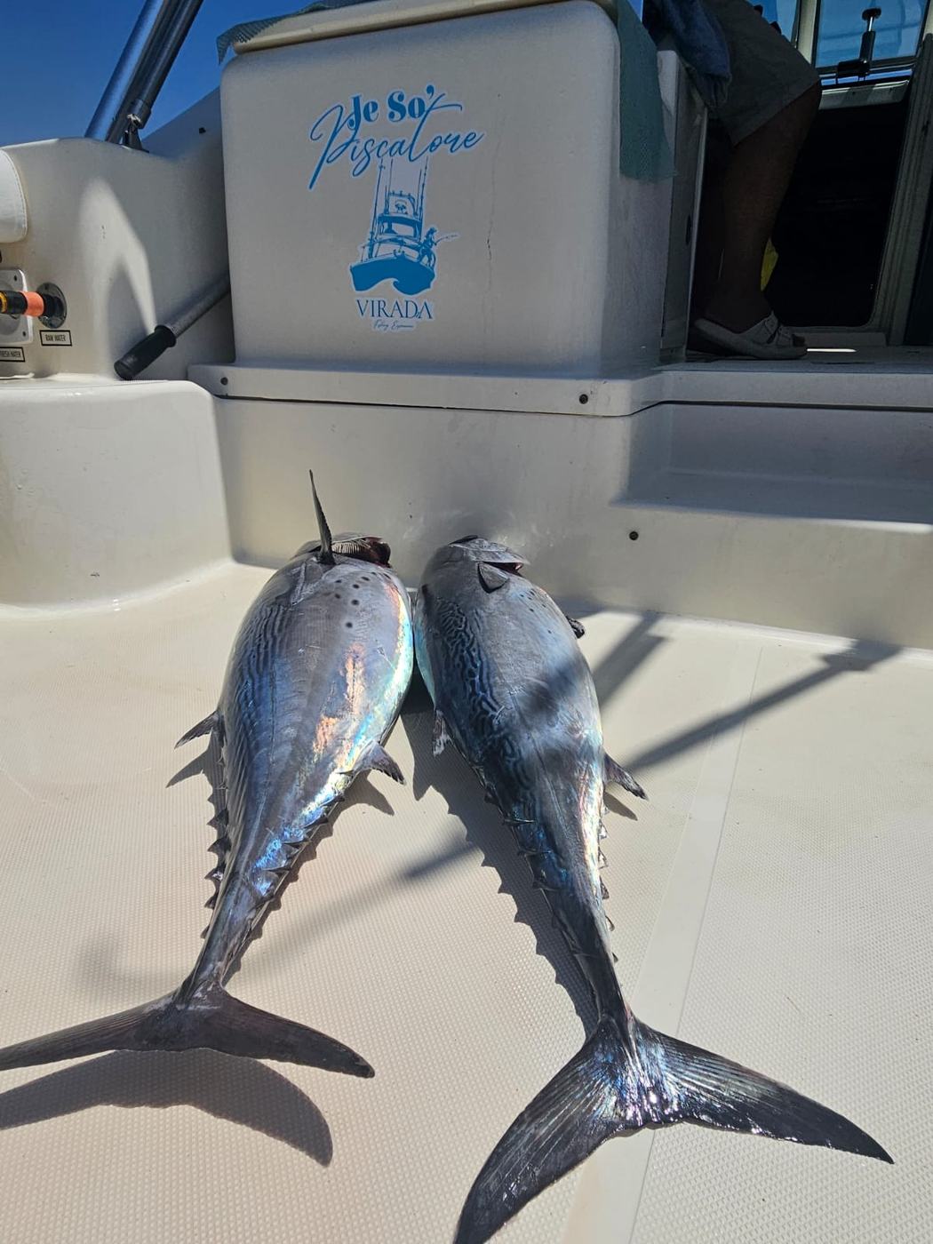 Catch of the day