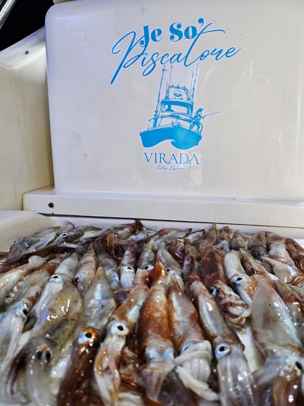The day's catch